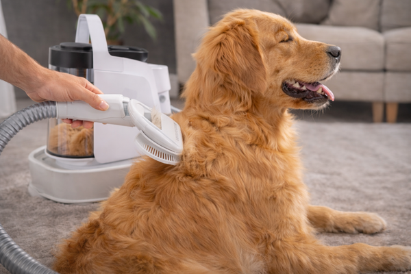 Pet GroomPro Vacuum Groomer Kit